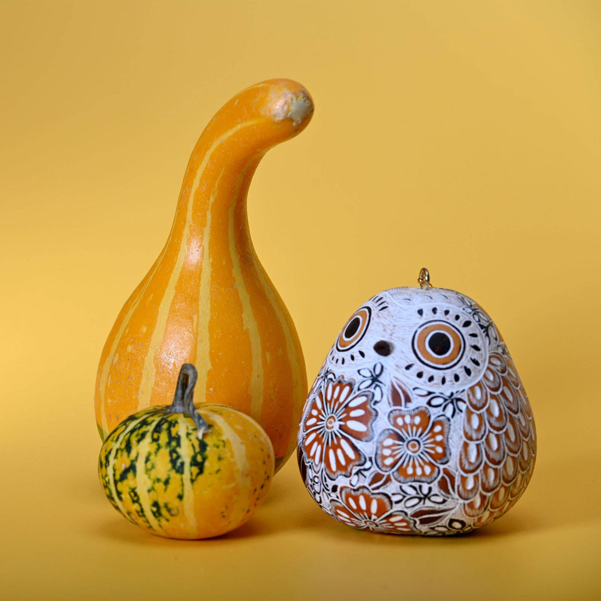 Snowy Owl Gourd Ornament, Handmade Fall Home Decor Housewarming Gift for Her
