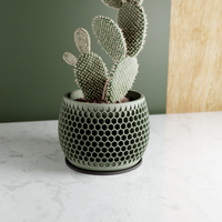 Honeycomb Succulent Planter With Drip Tray, Unique Flower Pot Home Decor, Housewarming Gift for Her, Large, Muted White Color