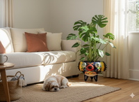 Dog lying on a rug in a living room with a plant and coffee table.