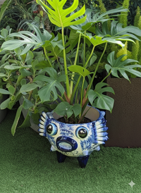 Ceramic planter with a face design among green plants