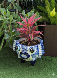 Decorative pot with a plant on a grassy surface