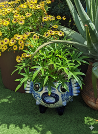 Decorative plant pot shaped like a fish with green leaves, surrounded by yellow flowers and other plants.