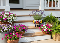 Decorative potted plants on a set of wooden steps with a white railing.