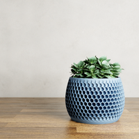 Honeycomb Succulent Planter With Drip Tray, Unique Flower Pot Home Decor, Housewarming Gift for Her, Medium, Natural Wood