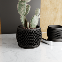 Honeycomb Succulent Planter With Drip Tray, Unique Flower Pot Home Decor, Housewarming Gift for Her, Medium, Natural Wood