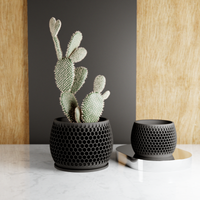 Honeycomb Succulent Planter With Drip Tray, Unique Flower Pot Home Decor, Housewarming Gift for Her, Medium, Muted White Color