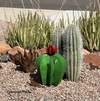 Cactus Garden Decor, Metal Cactus Decoration for Yard or Home, Hand Painted Lifelike Young Saguaro Cactus Yard Art, Mexican Folk Art, 14" H