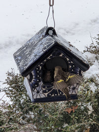 Ceramic Bird Feeder Talavera Pottery, Decorative Outdoor Hanging Feeder Station, Handmade Mexican Pottery Attract Wild Birds