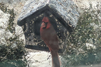 Ceramic Bird Feeder Talavera Pottery, Decorative Outdoor Hanging Feeder Station, Handmade Mexican Pottery Attract Wild Birds