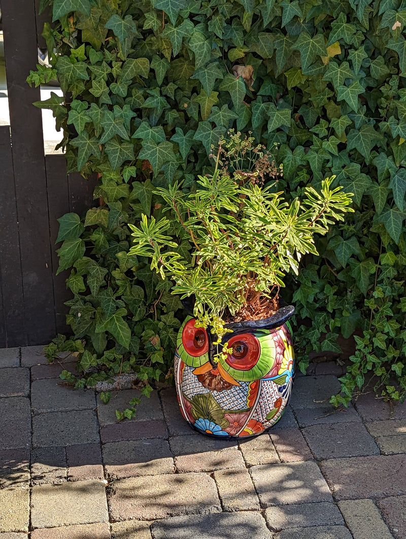 Gorgeous 14" Owl Flower Pot  Talavera Ceramic Planter, Handmade Pottery  Outdoor Garden Decor, Indoor Home Decor  Unique Gift for Birders