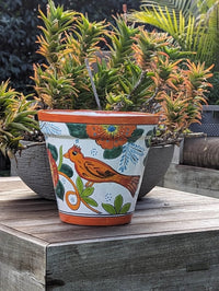 Tropical Bird Flower Pot | 12.5" Round Ceramic Planter is Handmade Mexican Pottery for Outdoor Garden Decor, Indoor Home Decor, Centerpiece