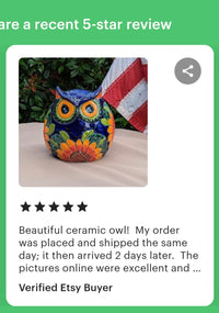 Sunflower Owl Mexican Flower Pot | Ceramic Talavera Pottery Works Indoor or Outdoor as Home Decor or Garden Decor