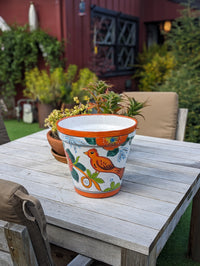 Tropical Bird Flower Pot | 12.5" Round Ceramic Planter is Handmade Mexican Pottery for Outdoor Garden Decor, Indoor Home Decor, Centerpiece