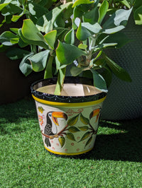 4 Toucans Flower Pot | 10.5" Round Ceramic Planter is Handmade Mexican Pottery for Outdoor Garden Decor, Indoor Home Decor, or a Centerpiece