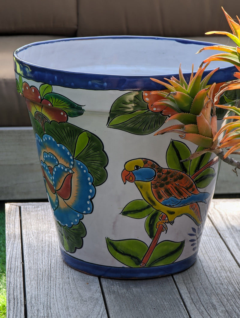 Parrot Flower Pot | 10.5" Round Ceramic Planter is Handmade Mexican Pottery for Outdoor Garden Decor, Indoor Home Decor, or Centerpiece