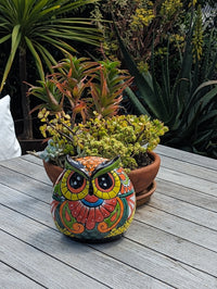 Talavera Owl Planter Ceramic Flower Pot, Mexican Pottery is Colorful Indoor or Outdoor Owl Decor, Owl Gift Plant Pot Home Decor