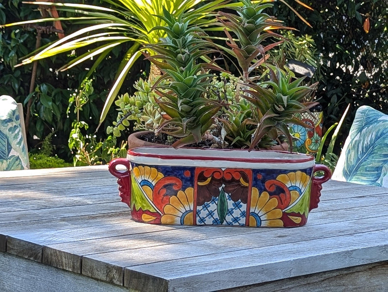 Succulent Planters Talavera Pottery, Indoor Windowsill Cute Succulent Planter Box, Ceramic Planter Mexican Art as Housewarming Gift