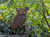 Brown Owl Garden Decor & Metal Owl Statue, Outdoor Owl Decoration Yard Decor, Metal Owl Sculpture Home Decor Figurine