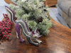 Fox Alebrije Mexican Art of Oaxaca Mexico, Handmade Home Decor Original Wood Sculpture, Unique Carved Animal Statue, Fox Sculpture Art