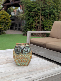 Mexican Owl Planter Pot for Indoor Home Decor or Outdoor Garden Decorations, Medium Owl Pot in Clay with Brown & Green Colors