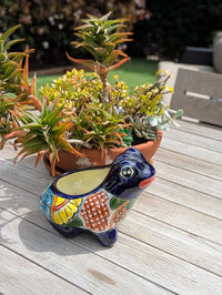 Frog Flower Pot and Ceramic Planter is Handmade Talavera Pottery for Indoor or Outdoor Planter, Small Mexican Planter Pot