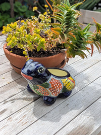 Frog Flower Pot and Ceramic Planter is Handmade Talavera Pottery for Indoor or Outdoor Planter, Small Mexican Planter Pot