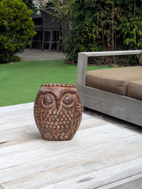 Mexican Owl Planter Pot for Indoor Home Decor or Outdoor Garden Decorations, Medium Owl, Brown