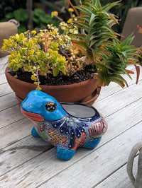 Frog Flower Pot and Ceramic Planter is Handmade Talavera Pottery for Indoor or Outdoor Planter, Small Mexican Planter Pot