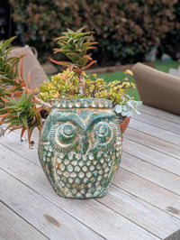 Mexican Owl Planter Pot for Indoor Home Decor or Outdoor Garden Decorations, Medium Owl in Clay with Green Dustings