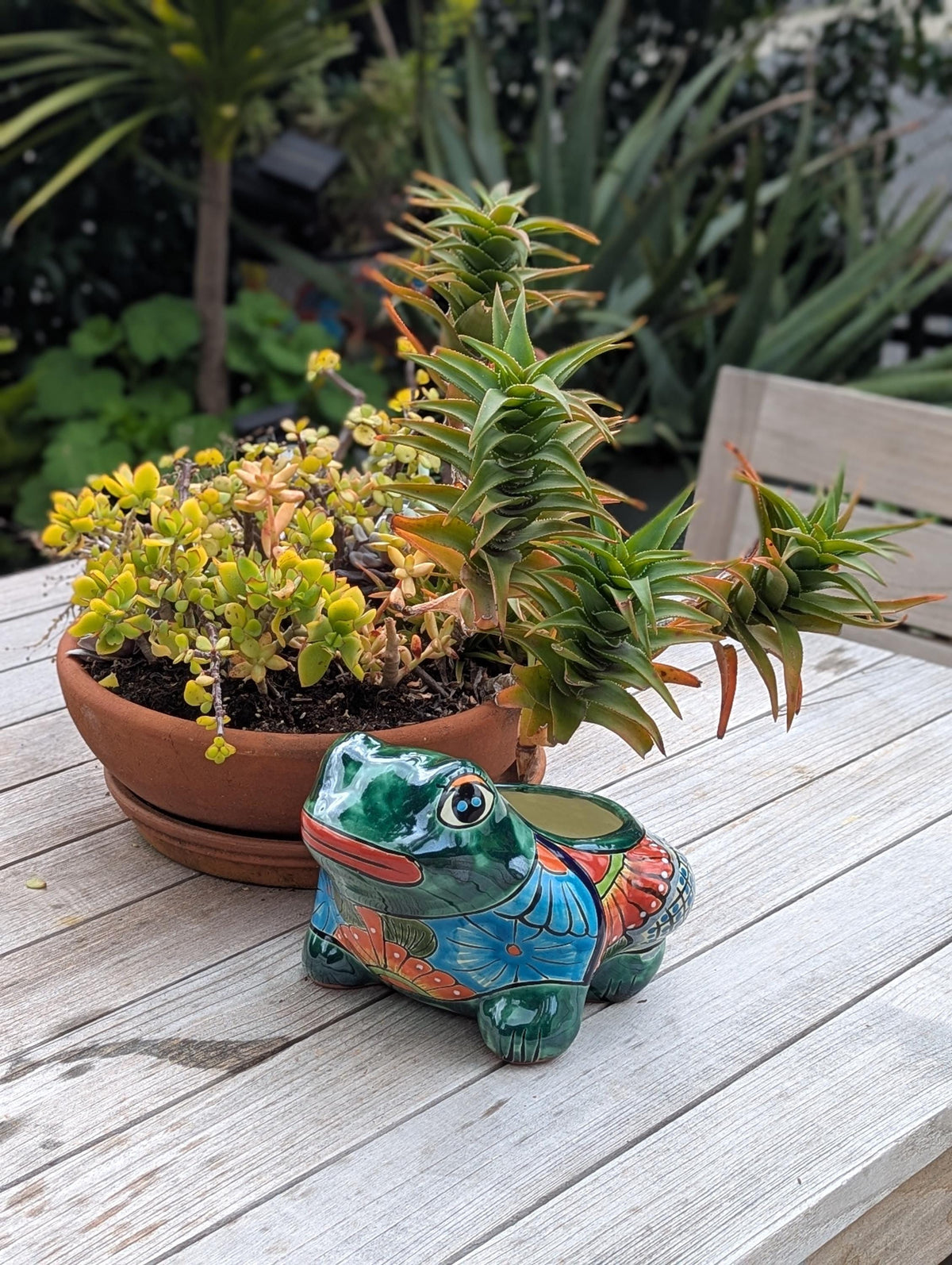 Frog Flower Pot and Ceramic Planter is Handmade Talavera Pottery for Indoor or Outdoor Planter, Small Mexican Planter Pot