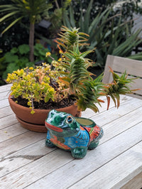 Frog Flower Pot and Ceramic Planter is Handmade Talavera Pottery for Indoor or Outdoor Planter, Small Mexican Planter Pot