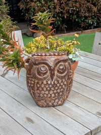 Mexican Owl Planter Pot for Indoor Home Decor or Outdoor Garden Decorations, Medium Owl, Brown