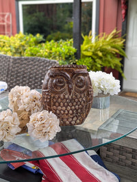 Mexican Owl Planter Pot for Indoor Home Decor or Outdoor Garden Decorations, Medium Owl, Brown