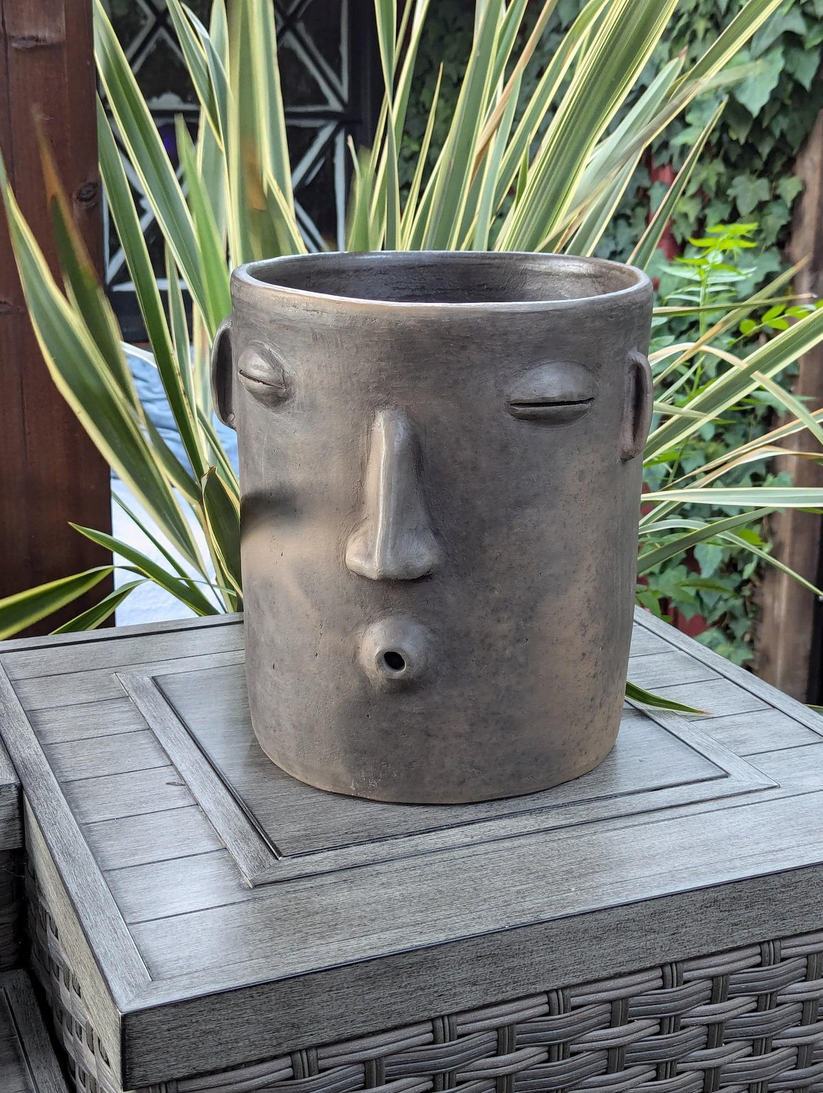 Ceramic face-shaped planter on a wooden surface with plants in the background