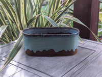 Blue ceramic planter on a wooden surface with plants in the background