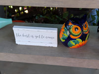 Sunflower Owl Mexican Flower Pot | Ceramic Talavera Pottery Works Indoor or Outdoor as Home Decor or Garden Decor