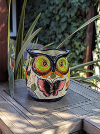 Lovely Owl Flower Pot | Ceramic Talavera Planter is Handmade Mexican Pottery for Outdoor Garden Decor, Indoor Home Decor, 11.5 inch Tall