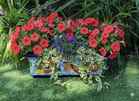 Windowsill Planter is Handmade Mexican Talavera Pottery with Hummingbird Motif
