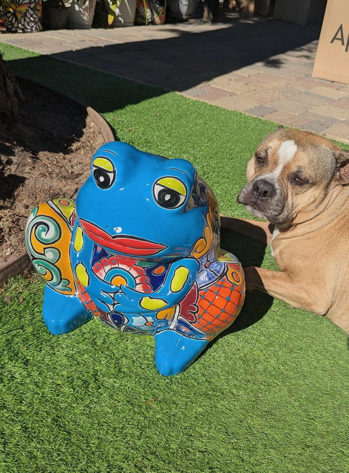 Handmade Talavera Frog Planter: Colorful Mexican Pottery Garden Decor