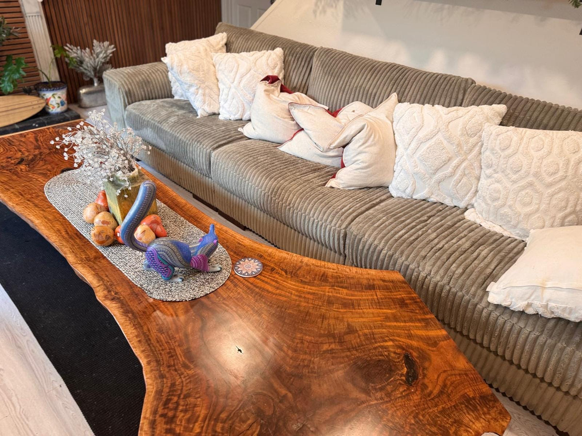 Coati Alebrije is Genuine Mexican Folk Art | Vibrant Handcraftsmanship on this Oaxacan Wood Carving is Superb, Collectible Home Decor