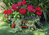 Window Box Planter is Handmade Talavera Mexican Pottery with a Sunflower Lily Motif