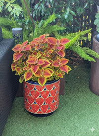 Talavera Planter | Watermelon Slices is 14" Handmade Ceramic Mexican Pottery | Ships 6-22