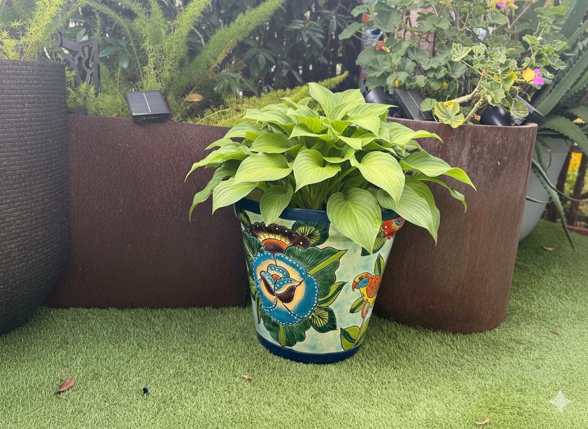 10.5" Round Parrot Planter is Exquisite Handmade Ceramic Mexican Pottery