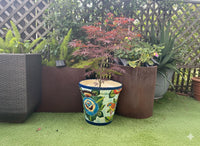 10.5" Round Parrot Planter is Exquisite Handmade Ceramic Mexican Pottery