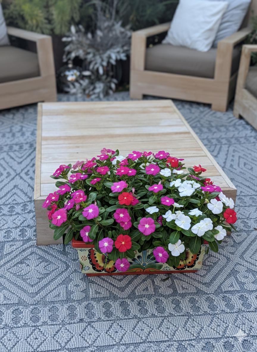 Window Box Planter is Handmade Talavera Mexican Pottery with a Butterflies Motif