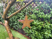 Rustic Star Metal Birdhouse Unique Patriotic Style, Outdoor or Indoor Decorative Birdhouse Decor Handmade in Mexico