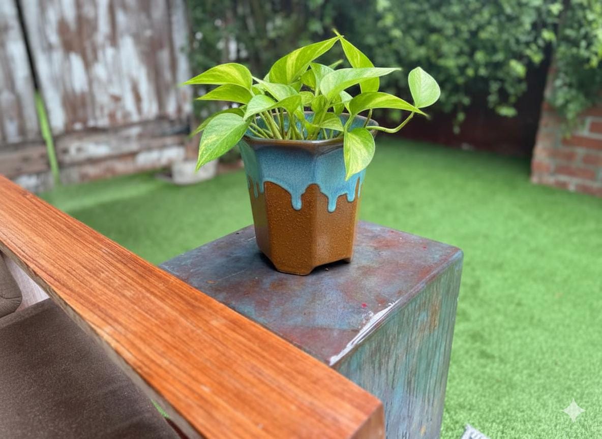 Glazed Flower Pot | Hexagonal Ceramic Planter Handmade in Mexico for Outdoor Garden Decor, or Indoor Home Decor