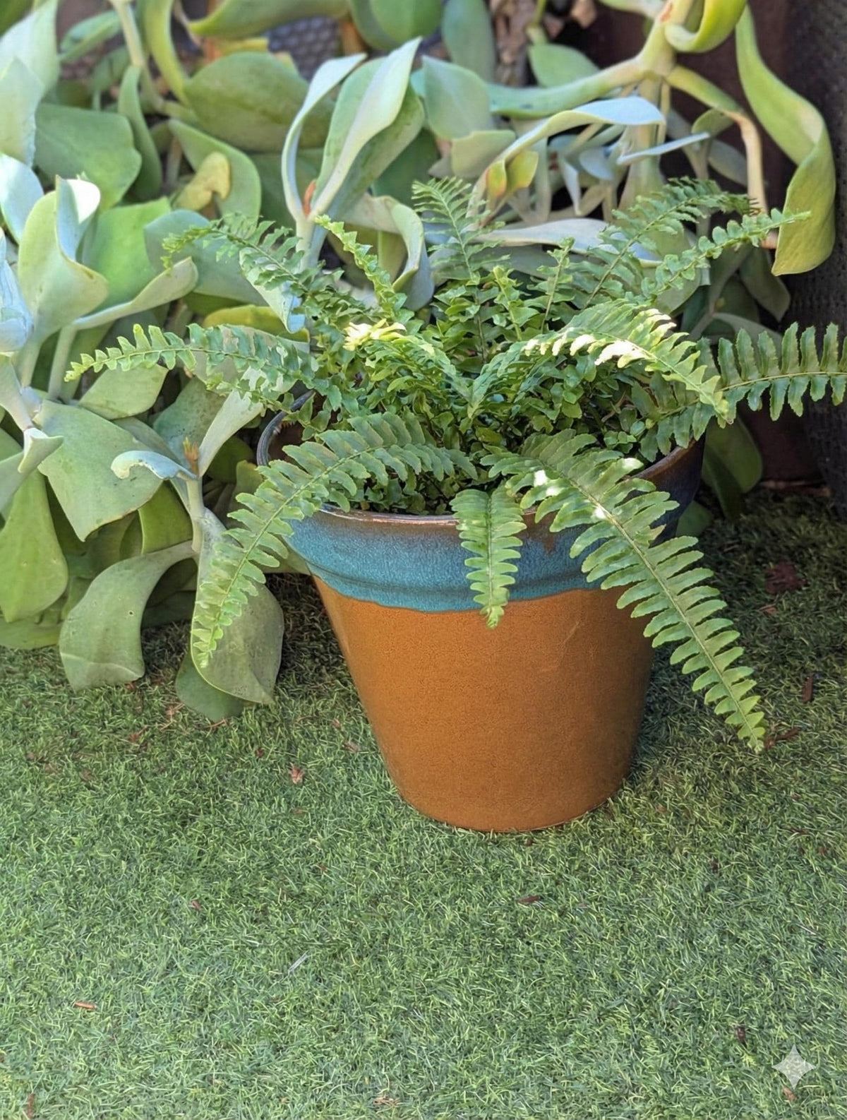 Handcrafted Mexican Ceramic Garden Planter: Aqua & Earth Glaze