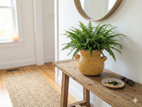 Yellow Sunburst Planter | 10.5" Round Mexican Flower Pot