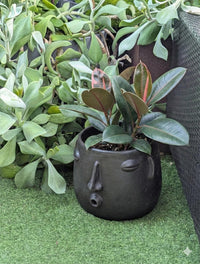 Clay Face Planter | "Whistler" Handmade Artisan Pottery from Atzompa, Mexico